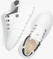 Witte VINGINO Lage sneakers LOGAN - medium