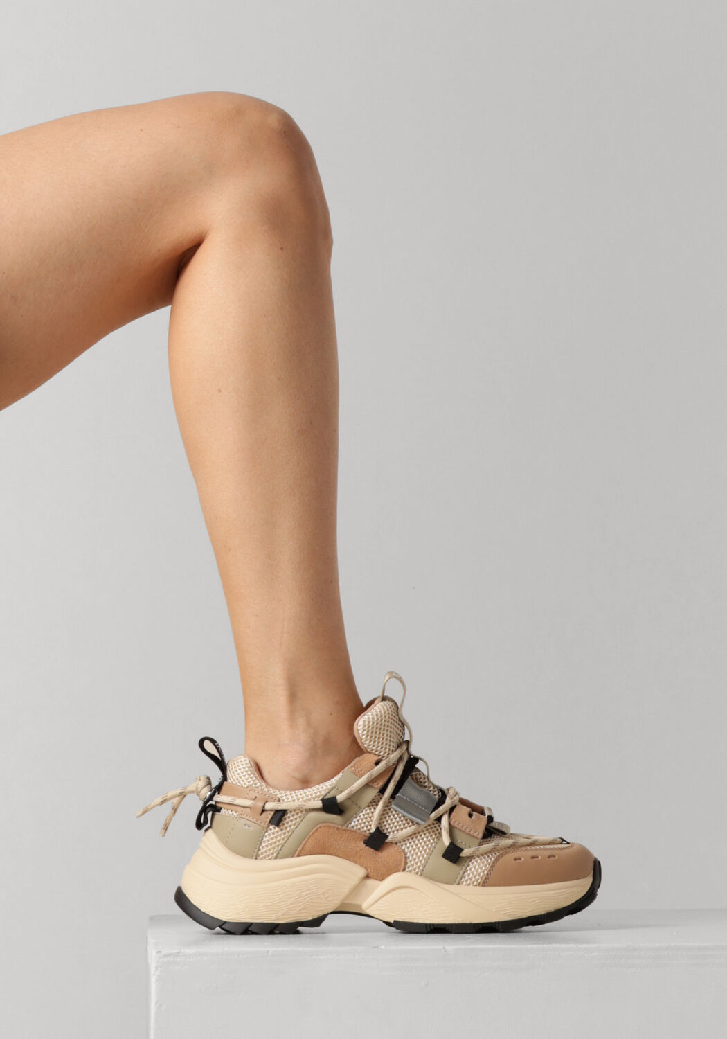 STEVE MADDEN Baskets basses TAZMANIA en vert - large