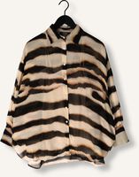 Multi IBANA  BRIESA Multi IBANA  BRIESA - medium