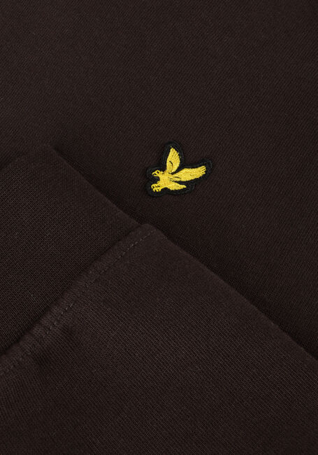LYLE & SCOTT PULLOVER HOODIE BOYS Pulls & Gilets en marron - large