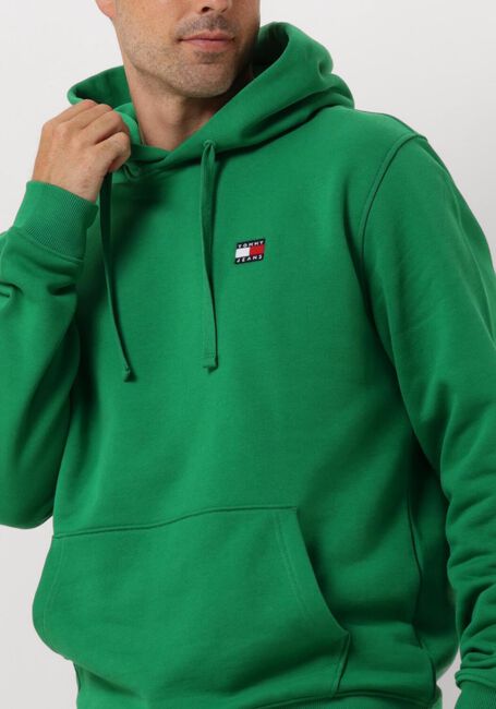 TOMMY JEANS Chandail TJM REG BADGE HOODIE en vert - large