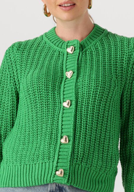 Groene FABIENNE CHAPOT Vest SUN CARDIGAN - large