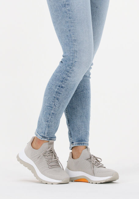 CALVIN KLEIN Baskets basses KNIT LACE UP en beige - large