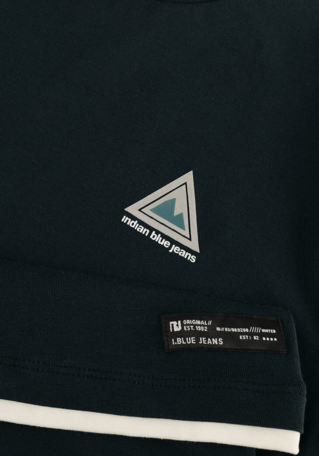 INDIAN BLUE JEANS T-shirt T-SHIRT CHEST AND BACKPRINT Vert fonc&eacute; - large