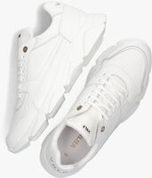 Witte VAN LIER Lage sneakers 2413400 - medium