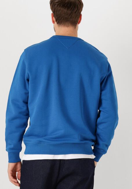 Blauwe TOMMY JEANS Trui TJM REG BADGE CREW EXT - large