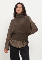 Bruine ROUGE EDIT Coltrui ROUCLEO ROLL NECK KNIT VEST/PF