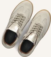HIP H1511 HIP H1511 - medium