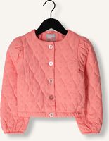 Roze Z8 Jack MOANA Roze Z8 Jack MOANA - medium