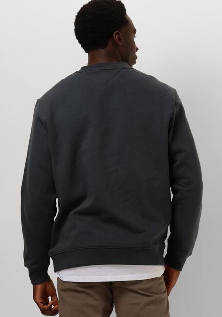 Grijze TOMMY JEANS Trui TJM REG S FLAG CREW - large