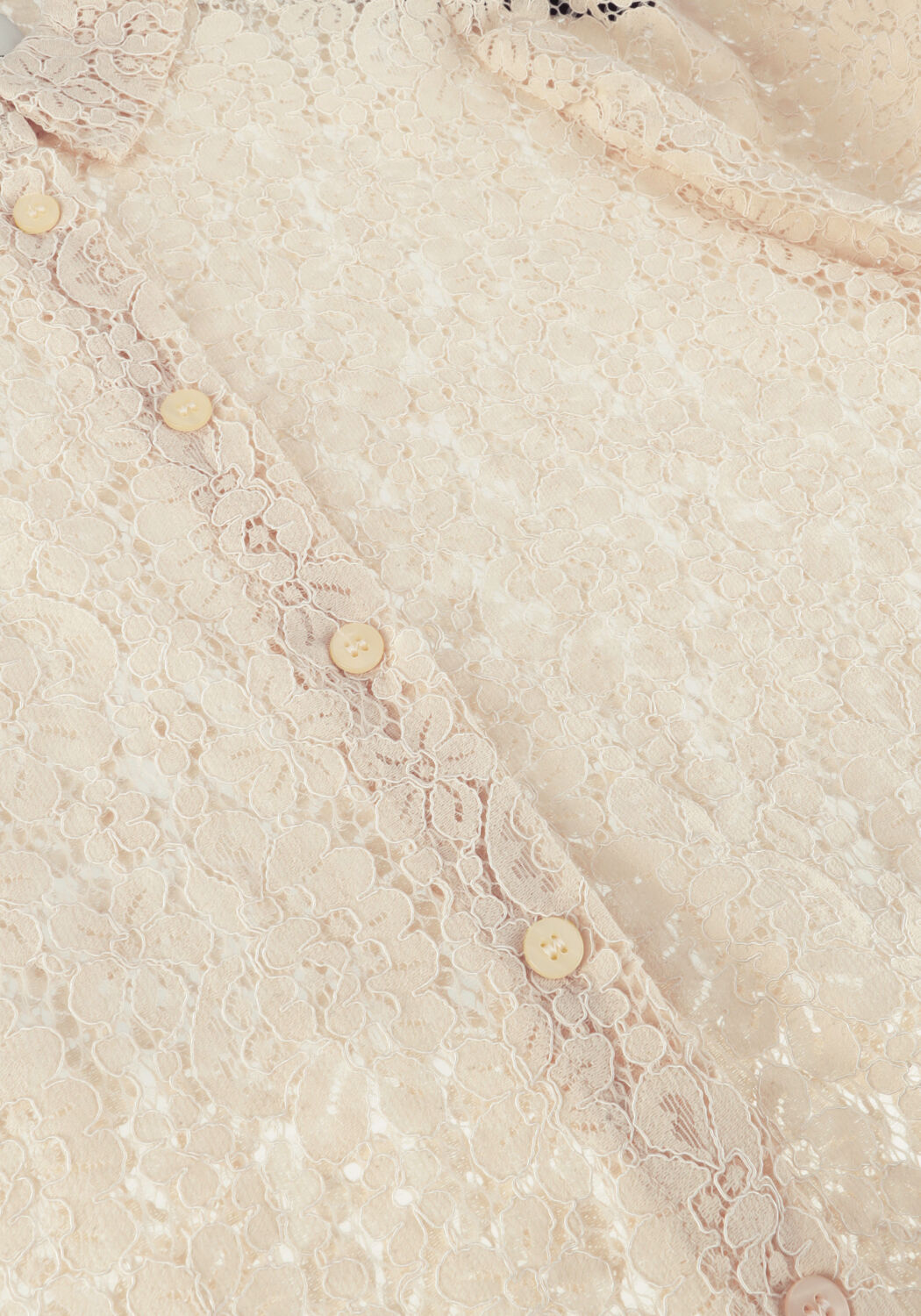 Ecru LOLLYS LAUNDRY Top BONOLL SHIRT SS - large