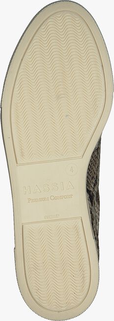 Beige HASSIA 1348 Sneakers - large