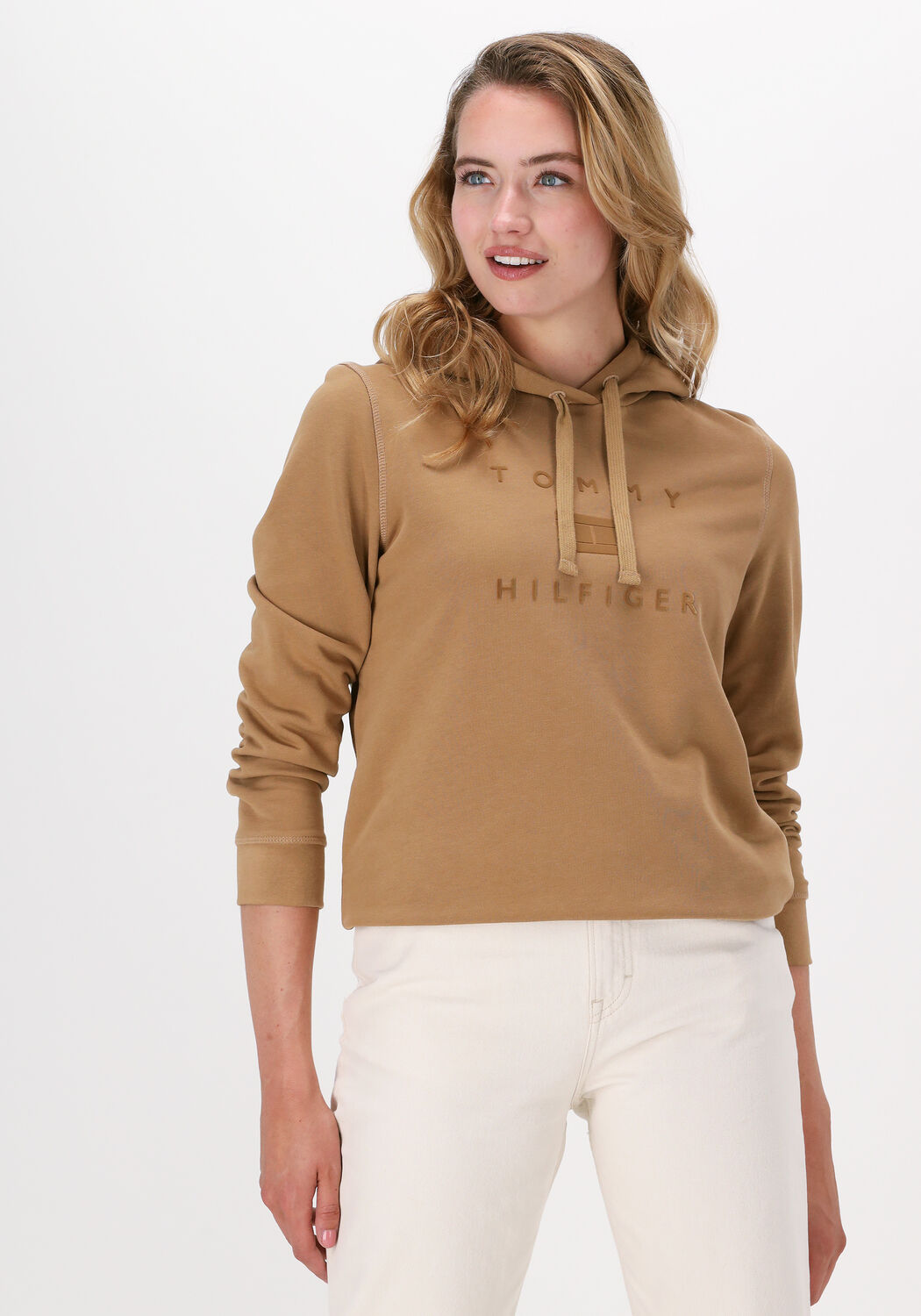 Tommy hilfiger hoodie khaki hotsell