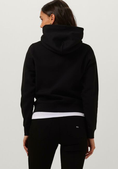 Zwarte TOMMY JEANS Trui TJW REGULAR FLEECE HOODIE - large
