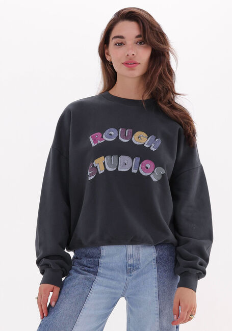 ROUGH STUDIOS Pull 7220100432072 en gris - large