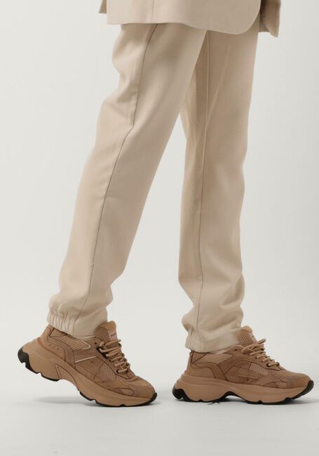 NUBIKK Baskets basses ROSS NOMAD en camel - large