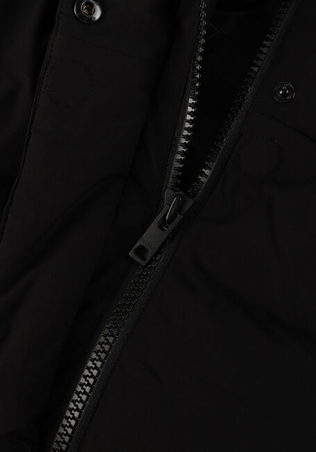 Zwarte ELVINE Gewatteerde jas VESPER Zwarte ELVINE Gewatteerde jas VESPER - large