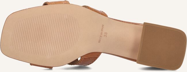 Bruine NOTRE-V  AS-16621 Bruine NOTRE-V  AS-16621 - large