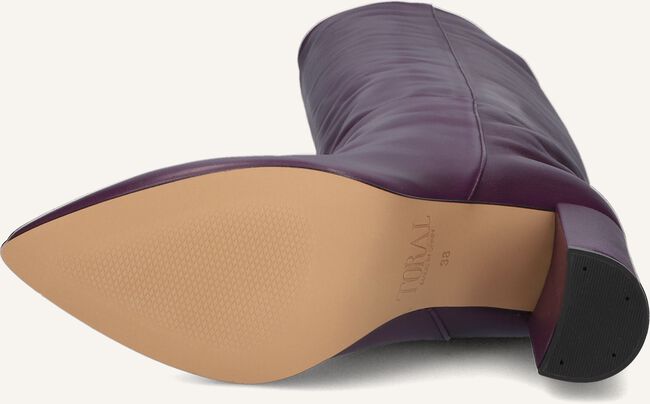 Paarse TORAL  12591 Paarse TORAL  12591 - large