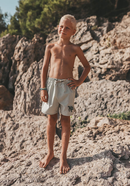 SALTED STORIES Shorts de bain SEERSUCKER SWIM SHORT Olive - large