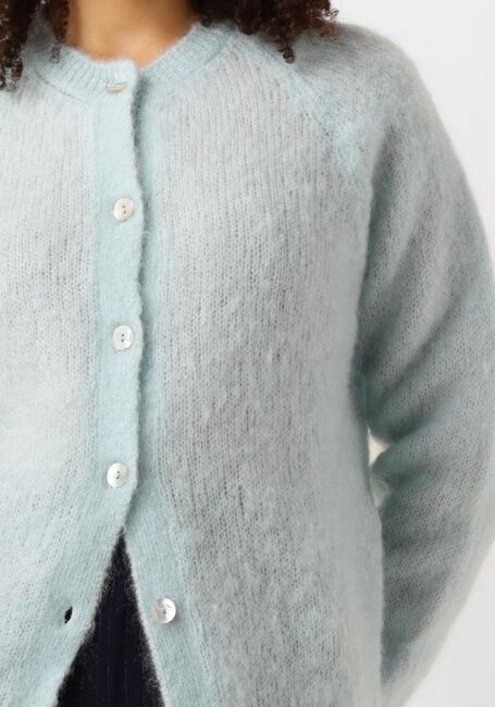 Blauwe NUKUS Vest LOREN CARDIGAN - large