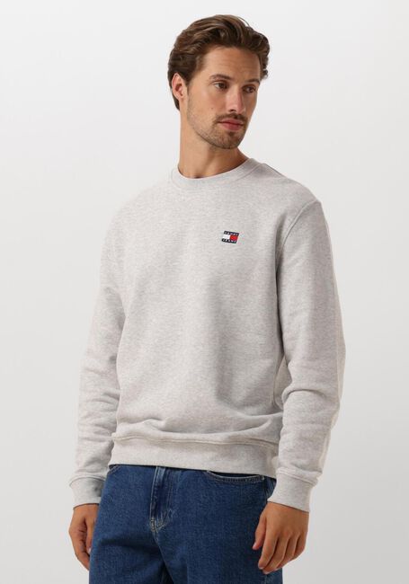 TOMMY JEANS Pull TJM REG BADGE CREW EXT Gris clair - large