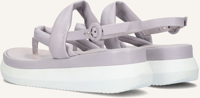 Paarse OMODA Sandalen M38031 Paarse OMODA Sandalen M38031 - large