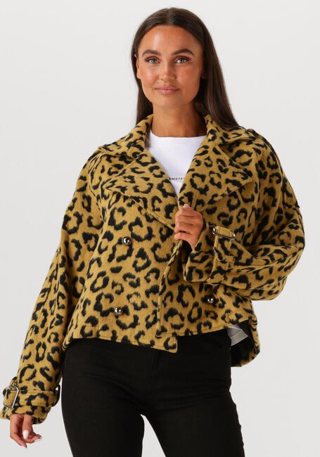 Oker AMAYA AMSTERDAM Jack LOTUS - large