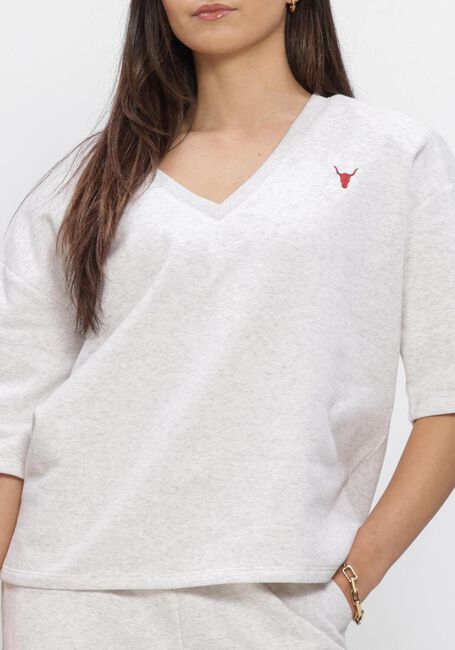 ALIX THE LABEL LADIES KNITTED V-NECK SHORTSLEEVE SWEATER Pulls & Gilets en gris - large