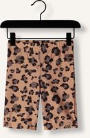 Bruine Z8 Korte broek JEMMA Bruine Z8 Korte broek JEMMA - medium
