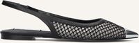 Zwarte STEVE MADDEN  MARISSA Zwarte STEVE MADDEN  MARISSA - medium