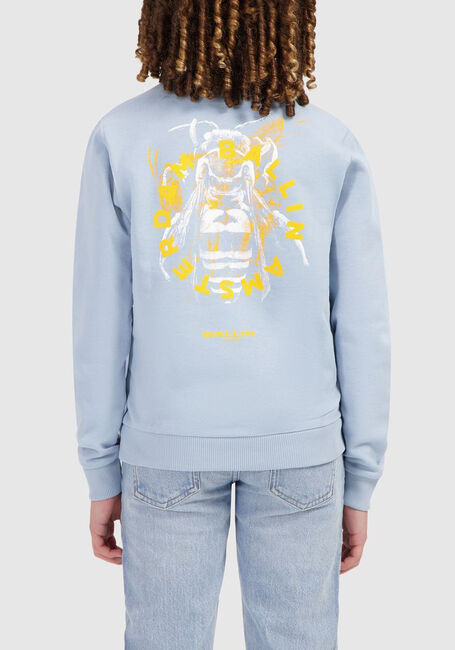 BALLIN Chandail 017302 en bleu - large