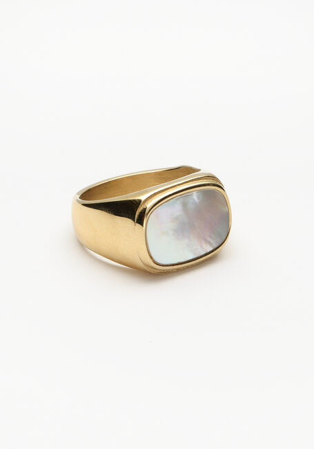 beginsel Veranderlijk evenwicht Gouden NOTRE-V Ring RING GROTE STEEN | Omoda