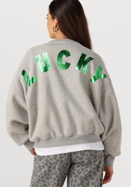 Grijze BY-BAR Trui BIBI LUCKY CURVE SWEATER - large