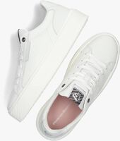 Witte FLORIS VAN BOMMEL Lage sneakers SFW-10106 - medium