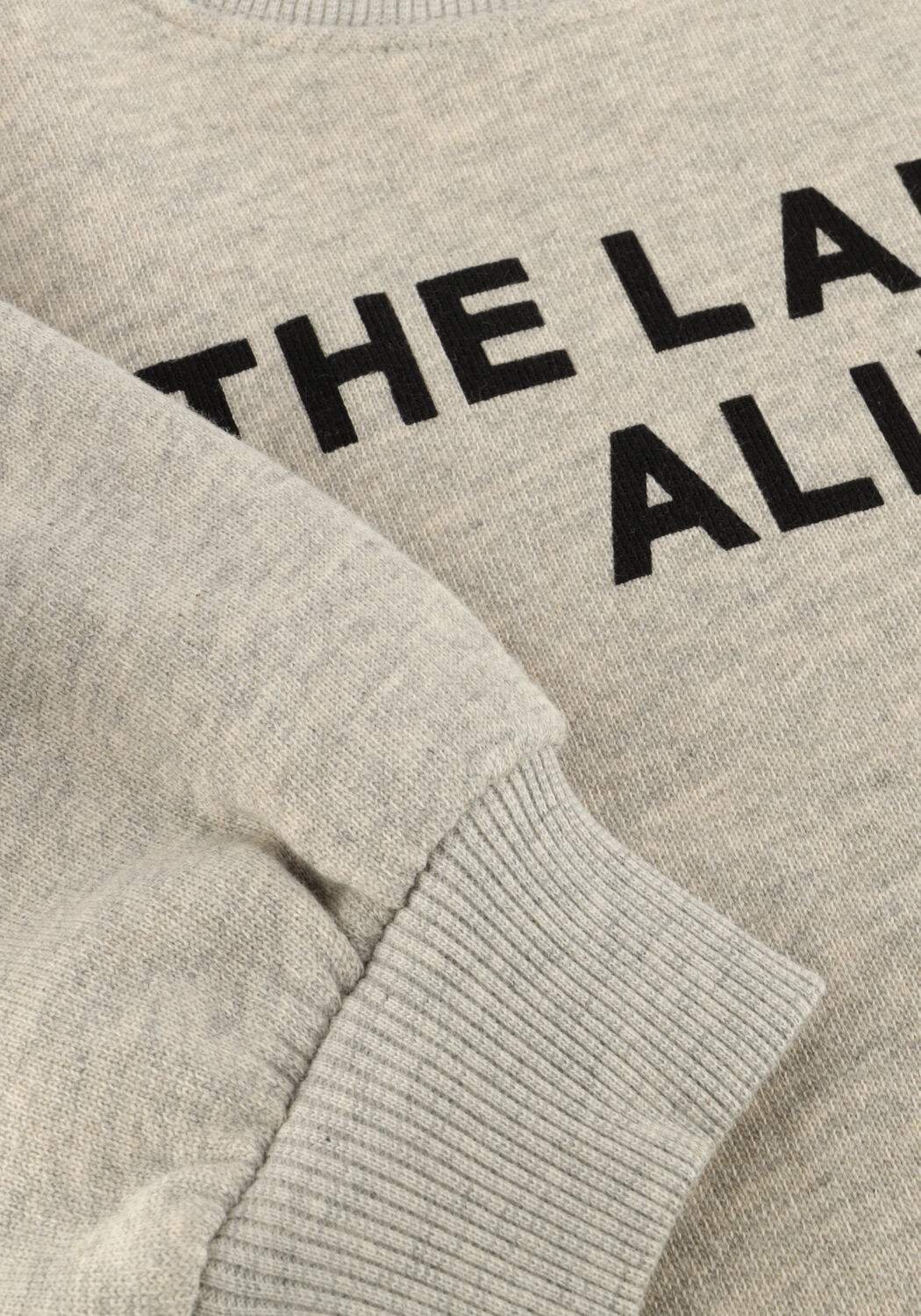 ALIX MINI Pull KNITTED STRASS LOGO SWEATER Gris clair - large