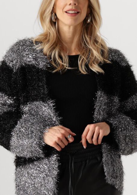 NUKUS Gilet HAILY CARDIGAN LUREX en argent - large