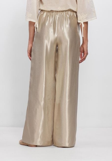 Gouden FREEBIRD Broeken/jumpsuits WV-SHINY-TWILL-VIS-26-1 - large