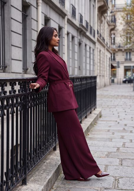 JOSH V Pantalon SKY PANTS Bordeaux - large