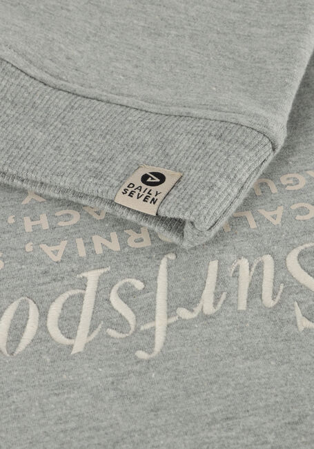 Grijze DAILY7 Sweater SWEATER TEXTPRINT - large