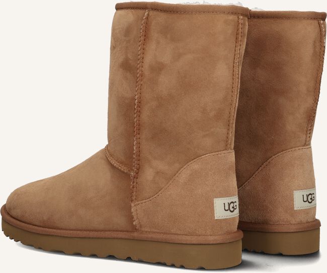 Camel UGG  M CLASSIC SHORT Camel UGG  M CLASSIC SHORT - large