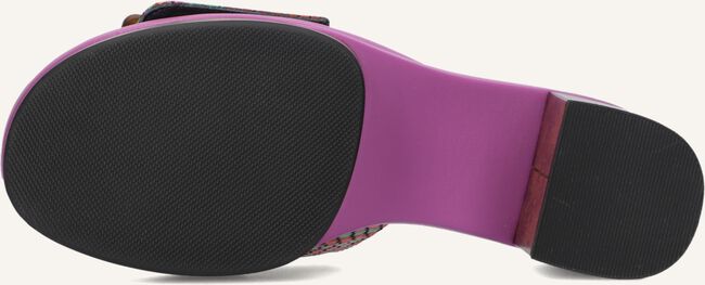 Paarse NOA HARMON  9669 Paarse NOA HARMON  9669 - large