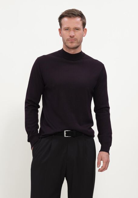 STEFANO LAURAN Pull TURTLE NECK MERINO Bordeaux - large