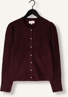 NOTRE-V NV-GRACE NOTRE-V NV-GRACE - medium