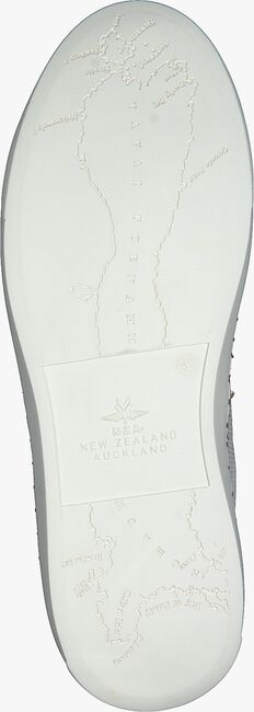 NEW ZEALAND AUCKLAND Baskets TAUPO II en blanc - large