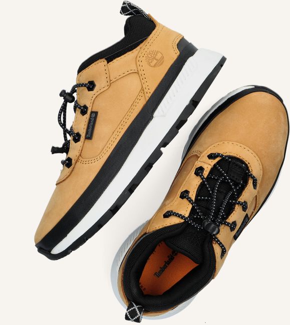 Camel TIMBERLAND Sneakers FIELD TREKKER LOW K Camel TIMBERLAND Sneakers FIELD TREKKER LOW K - large