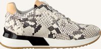 Beige FRED DE LA BRETONIERE Lage sneakers 101010132 - medium