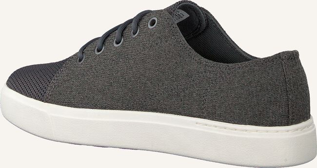 Grijze TIMBERLAND Lage sneakers AMHERST ALPINE KNIT Grijze TIMBERLAND Lage sneakers AMHERST ALPINE KNIT - large