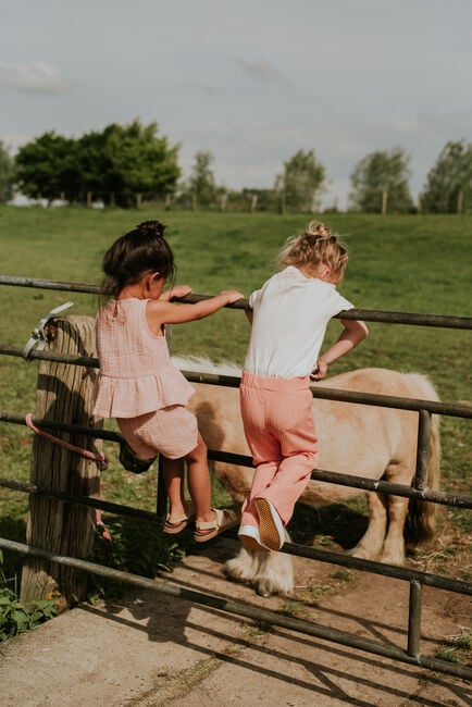 Oranje KOKO NOKO Wijde broek N58921 - large