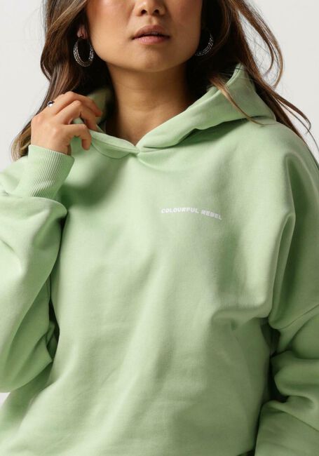 Mint COLOURFUL REBEL Trui CR BACK LOGO DROPPED SHOULDER HOODIE - large